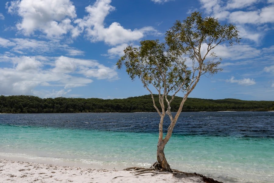 Photo Australias Best Beaches and Nature Reserves
