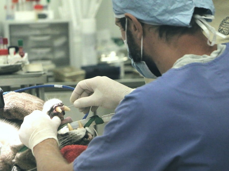 Photo Medical Malpractice Case