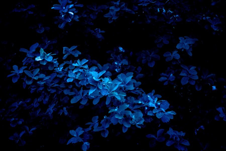 Photo Blue Light Sleep